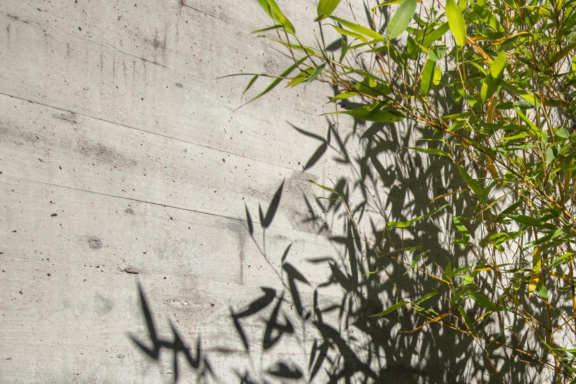 Villa Con Piscina Y Jardin, Santiago De Compostela Teo Kültér fotó